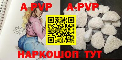 кокс Кингисепп