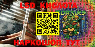 кокс Кингисепп