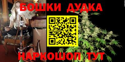 кокс Кингисепп