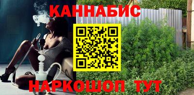 кокс Кингисепп