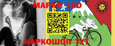 кокс Кингисепп