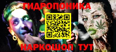 гашик Кимры