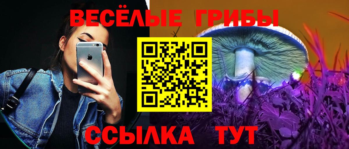 Псилоцибиновые грибы Psilocybine cubensis  Галлюциногенные грибы MAGIC MUSHROOMS  Куйбышев  Вход с VPN 